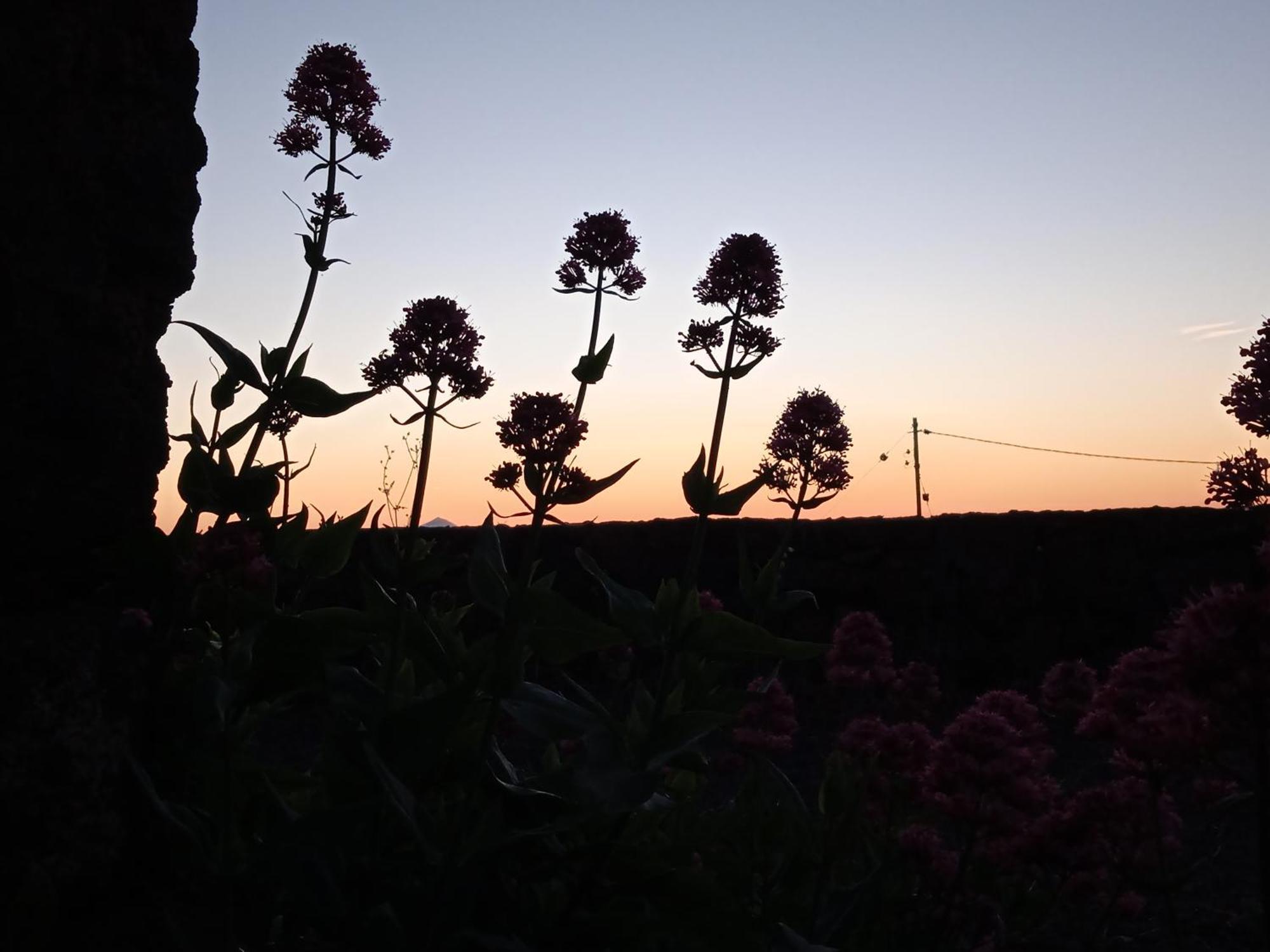 Vila Casa Ben Abora Las Rosas  Exteriér fotografie