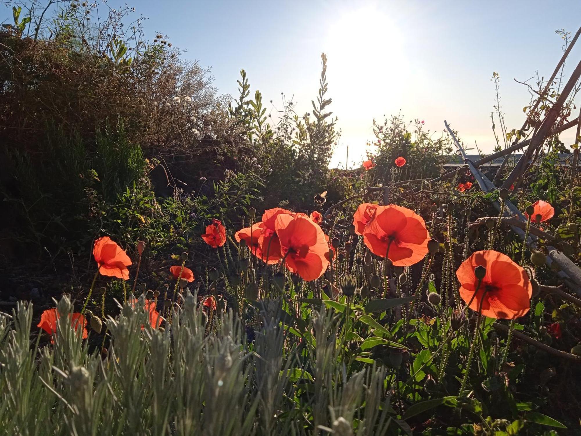 Vila Casa Ben Abora Las Rosas  Exteriér fotografie